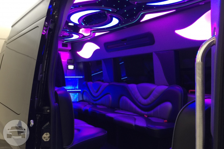 15 Passenger Party Bus Sprinter
Party Limo Bus /
Chicago, IL

 / Hourly $0.00
