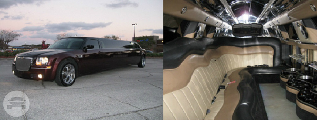The Classic Upgrade Stretch 300's
Limo /
Jacksonville, FL

 / Hourly $0.00
