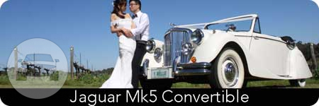  1949 – 1951 Jaguar Mk5 convertibles 
Sedan /


 / Hourly $0.00
