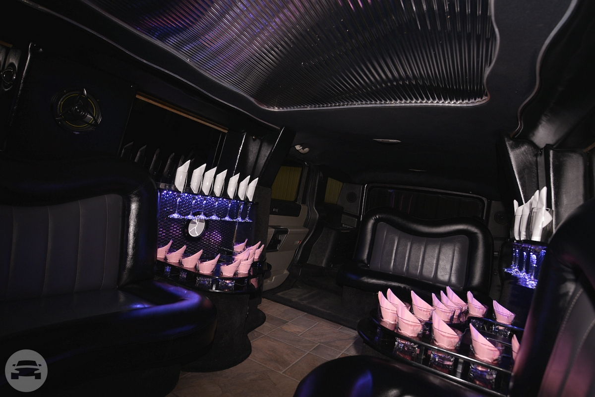 Hummer Limousine
Limo /
Chicago, IL

 / Hourly $0.00
