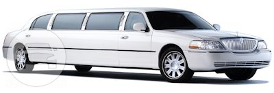 White Lincoln Stretch Limousine
Limo /
San Francisco, CA

 / Hourly (Other services) $75.00
