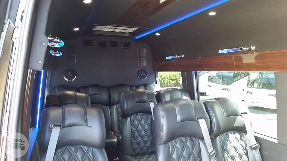 Mercedes Benz VIP Shuttle Sprinter Coach
SUV /
Kirkland, WA

 / Hourly $0.00
