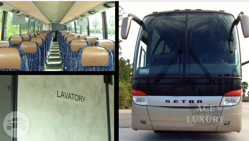49 and 54 Passenger Luxury Motor Coach
Coach Bus /
Orlando, FL

 / Hourly $0.00
