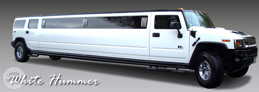 White Hummer Limousine
Hummer /
Dallas, TX

 / Hourly $0.00
