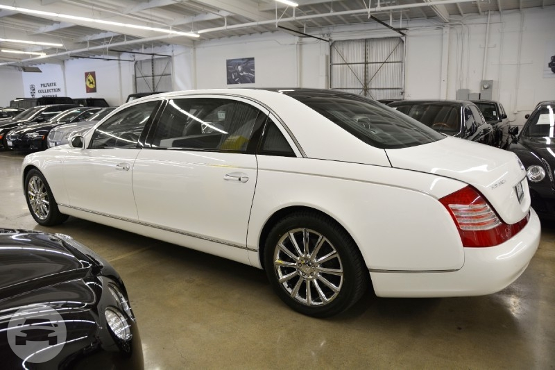 Maybach 62 Extended Wheelbase Limited Edition
Limo /
New York, NY

 / Hourly $0.00
