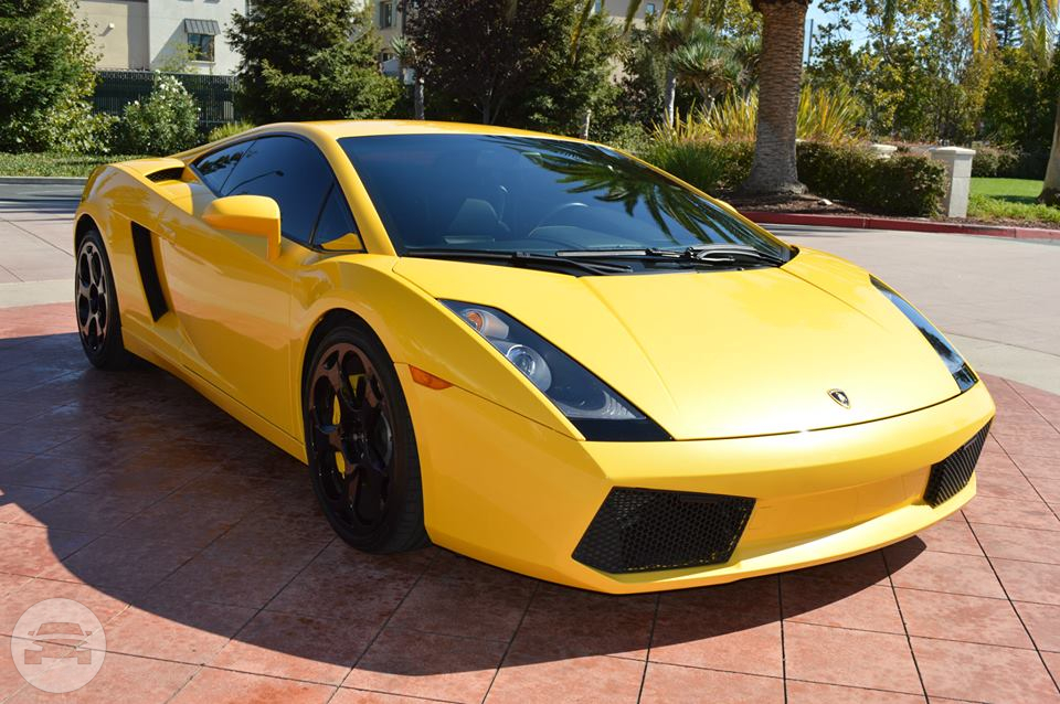 Lamborghini 
Sedan /
San Francisco, CA

 / Hourly $0.00
