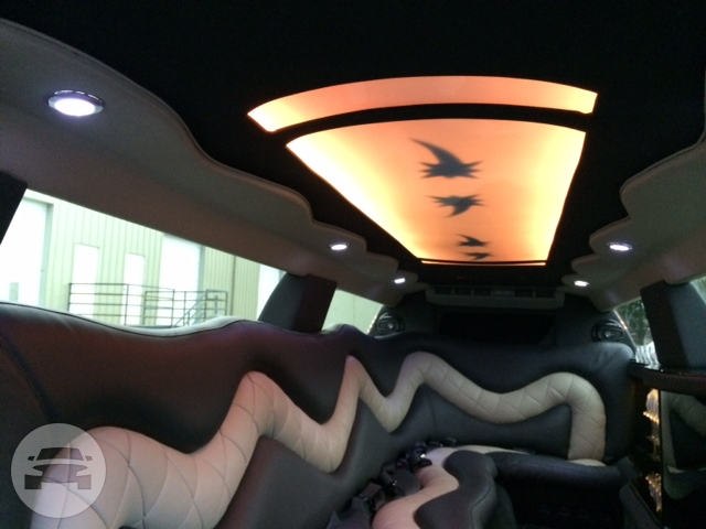 12 Passenger Chrysler 300 