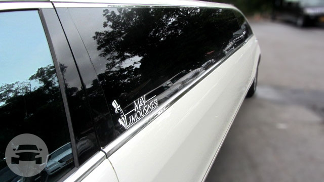 New Mercedes S 550 10 pass Limousine
Limo /
New York, NY

 / Hourly $0.00

